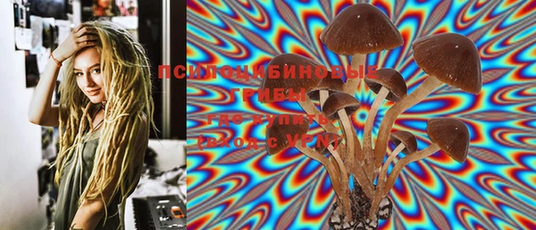 мяу мяу мука Алексеевка