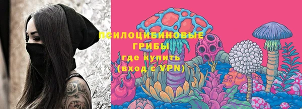 героин Алексин