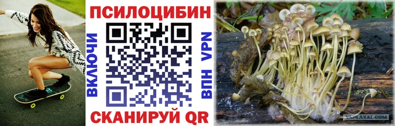 Псилоцибиновые грибы ЛСД  Владивосток 